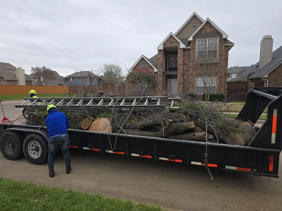 Expert Tree Removal with proper safety equipment in Sandusky